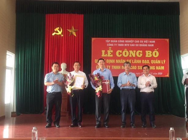 Ông Lê Thanh Tú kiêm giữ chức Chủ tịch HĐTV Cao su Quảng Nam
